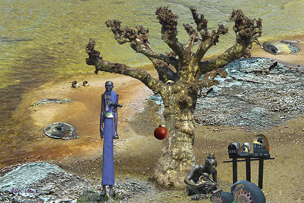 Image #2 of 12: 
